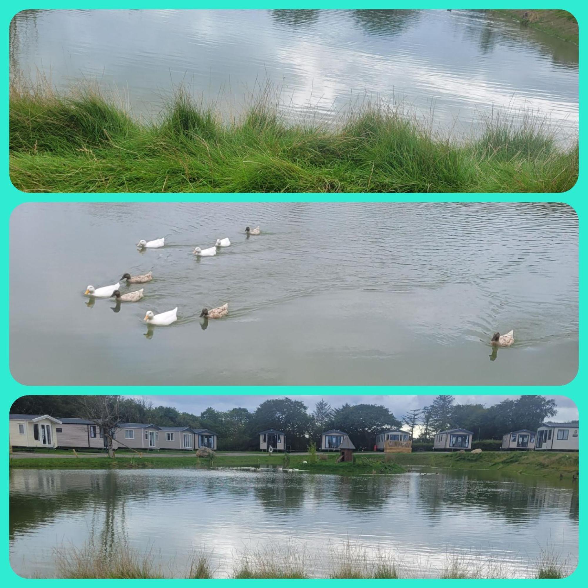 Beautiful 2 Bedroom Caravan, Holiday Park Tenby Saint Florence 外观 照片